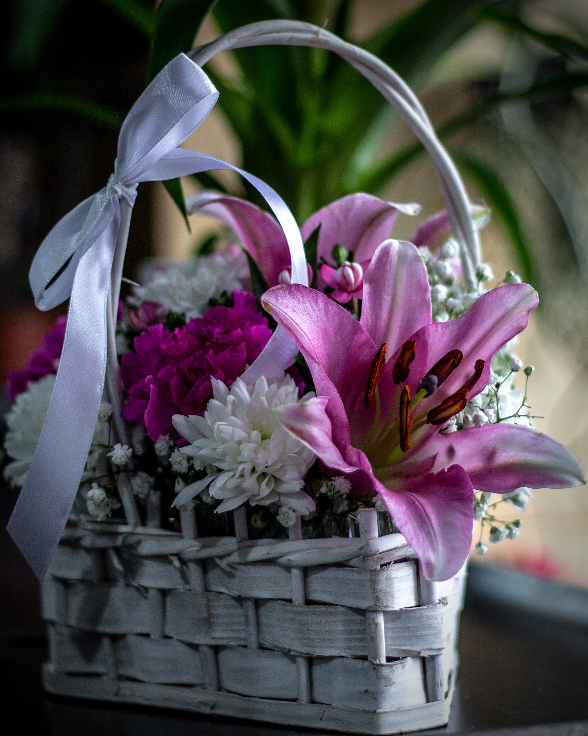 IMG_3754-Edit